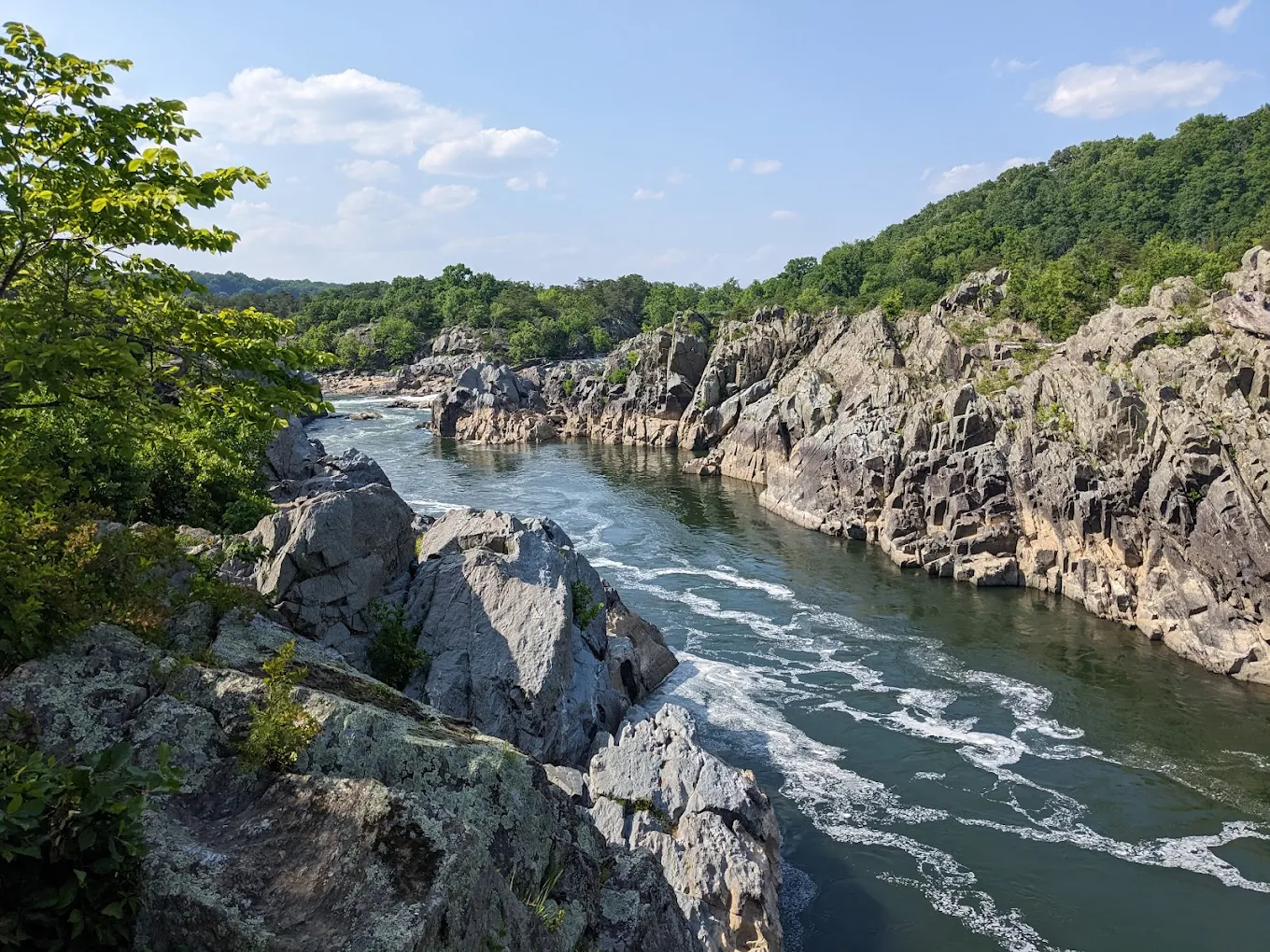 Top 10 Parks Near Tysons Corner VA
